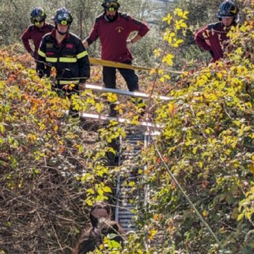 Berbenno, cavallo salvato dai Vigili del Fuoco dopo una caduta in un canale