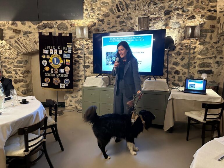 73266a07 362c 4e36 b173 94294c63b203