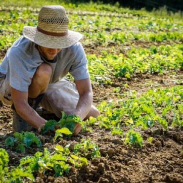 Coldiretti Sondrio: “Strategia UE sul ricambio generazionale senza risorse reali. Giovani penalizzati dai tagli alla PAC 2028–2034”