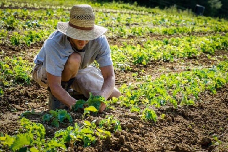 Giovani Agricoltori al lavoro