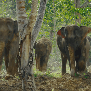 Sondrio Festival 2024: il successo di Vincenzo Schettini e l’ultima giornata tra documentari e ospiti