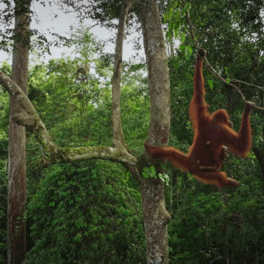 XXXIX Sondrio Festival: la natura raccontata per imparare ad amarla e proteggerla