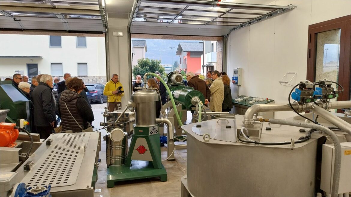 img 20251115 wa00061200834377479118746