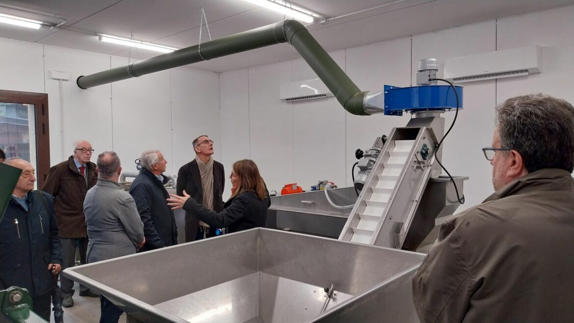 img 20251115 wa00106399538660974590874