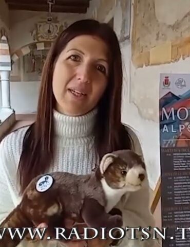 Alps’ Festival 2025, Morbegno si riscopre capitale della montagna