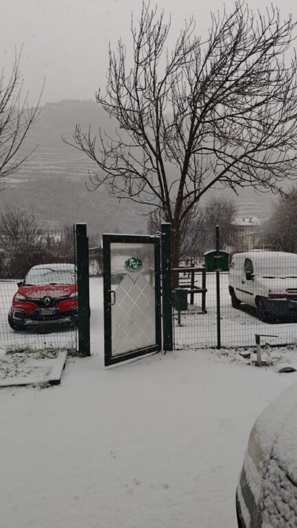 Nevica alle basse quote. Attenzione al volante 1 PHOTO 2026 01 09 08 40 05