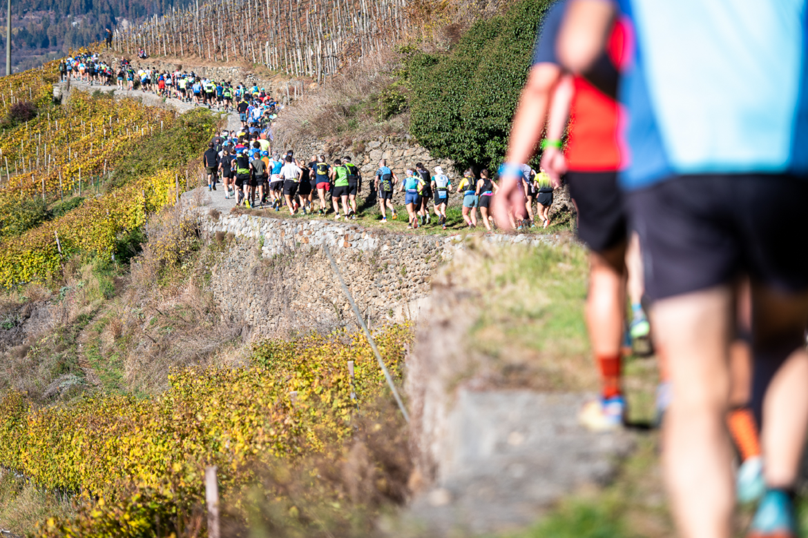Valtellina Wine Trail 2026: iscrizioni, pettorali e click day del 1° maggio