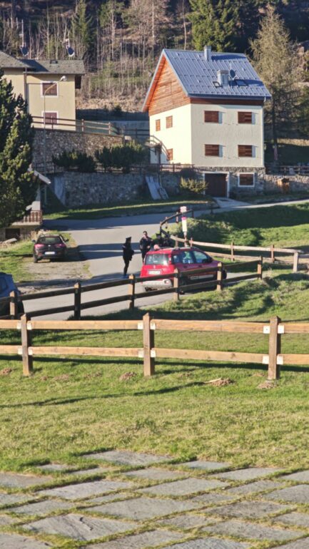 Trivigno, uomo muore dopo essere stato azzannato verosimilmente da un cane: intervento in zona montana 2 cane