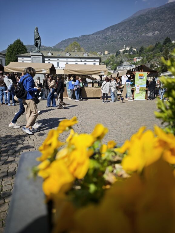 Sondrio Primavera 2026: fiera del biologico e eventi in corso nel centro città 3 piazza 1