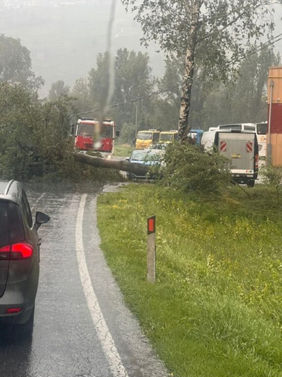 Maltempo: bomba d’acqua e grandine. A Busteggia, albero cade sulla strada, timori per i raccolti 1 4543e519 532e 45d6 9855 0054df4071c4