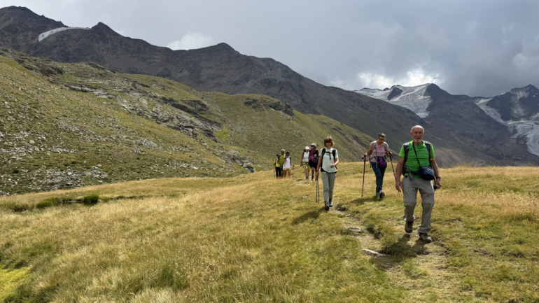 Ferragosto in quota, il CAI Valfurva conquista la Cima Branca a 3.100 metri 1 IMG 2365