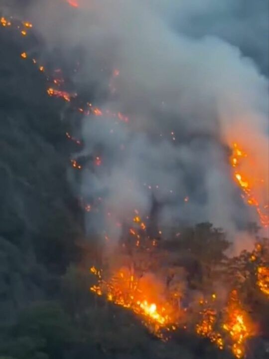 Incendio sopra Gordona, Canadair ed elicotteri ancora al lavoro 6 image editor output image238172830 17856571778421680407680912437797